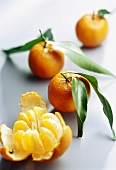 Geschälte Mandarine und Mandarinen mit Blättern