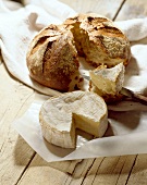 Camembert and bread