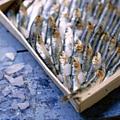 Holzkiste mit Sardinen