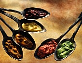 Selection of mustards in spoons