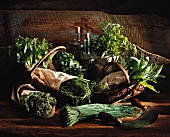 Selection of garden herbs