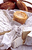 Various soft cheese with bread