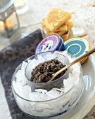 Kaviar in Glasschale auf Eis