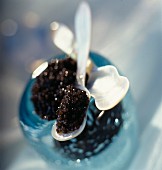Perlmuttlöffel mit Kaviar
