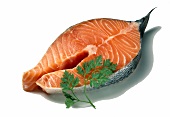 Slice of raw salmon