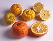 Bigarade and Bergamot bitter oranges