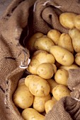 Kartoffeln im Jutesack