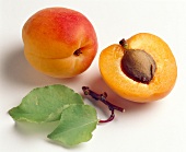 Apricots with leaves