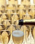 Ein Glas Champagner einschenken, viele gefüllte Gläser im Hintergrund