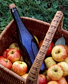 Flasche Cider im Korb mit Äpfeln