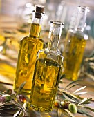 bottles of olive oil