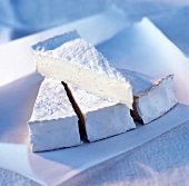 Vier Stücke Brie de Meaux auf Papier