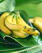 bananas and banana leaves