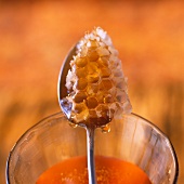 Ein Stück Honigwabe mit Honig auf einem Löffel