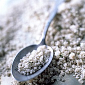 Grobes graues Salz mit Kräutern
