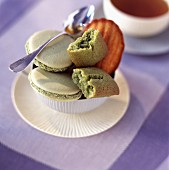 Macaroon, financier sponge biscuit cake and tea-flavored madeleine cake