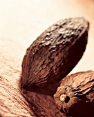 Cocoa bean pods