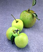 Grüne Äpfel mit Stiel und Blättern