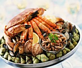 Platter of seafood