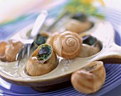 Dish of snails sprinkled with parsley