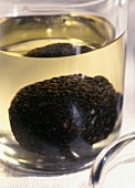 Black truffle in oil in a jar