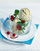 Scoops of chocolate mint ice cream with fresh redcurrants and mint leaves