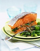Salmon with mustard and mint sauce