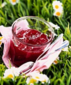 Ein Glas Erdbeermarmelade auf Sommerwiese