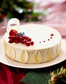 Coconut and summer fruit iced cake