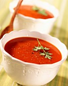 tomato consomme soup (topic: tomatoes)