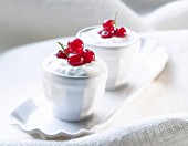 Fromage frais with redcurrants