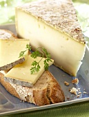 Tomme mountain cheese (topic: summer snacks)