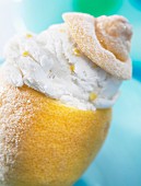 frosted lemon dessert (topic: ice cream)