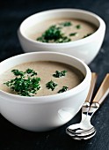 Quick mushroom and parsley soup