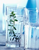 Glass of sparkling water with sprig