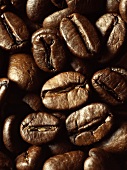 Viele Kaffeebohnen in Nahaufnahme (Ausschnitt)