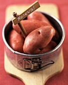 Kartoffeln der Sorte Roseval in einer kleinen Springform