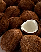 Viele Kokosnüsse