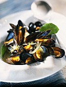 Mussels marinieres