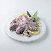 Oktopus mit Zitrone auf weißem Teller