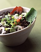 Lentil salad with celery and bacon