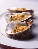 Hot spicy oysters