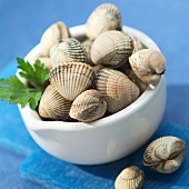 Bowl of raw cockles