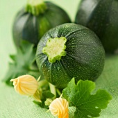 Round green courgettes