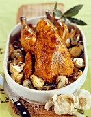 Guinea-fowl with ceps and garlic