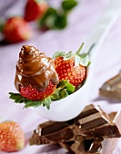 Geschmolzene Schokolade auf Erdbeere