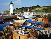 Fischmartkstand mit Meeresfrüchten im Hafen von Belle-île (Bretagne)