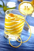 Lemon in glass of water