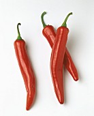 Espelette peppers