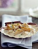 Pan-fried scallops with cream